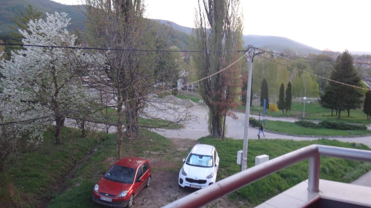 Hotel Konak Vila Mirkovic Sokobanja Exterior foto