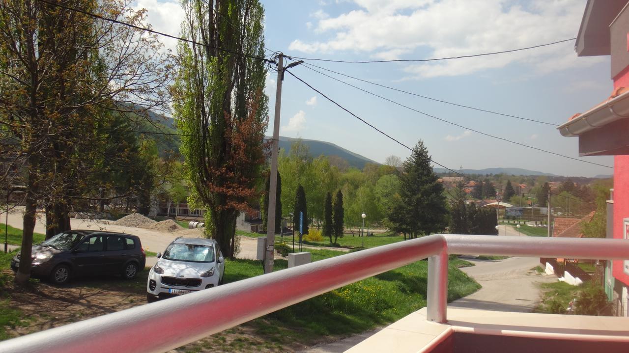 Hotel Konak Vila Mirkovic Sokobanja Exterior foto